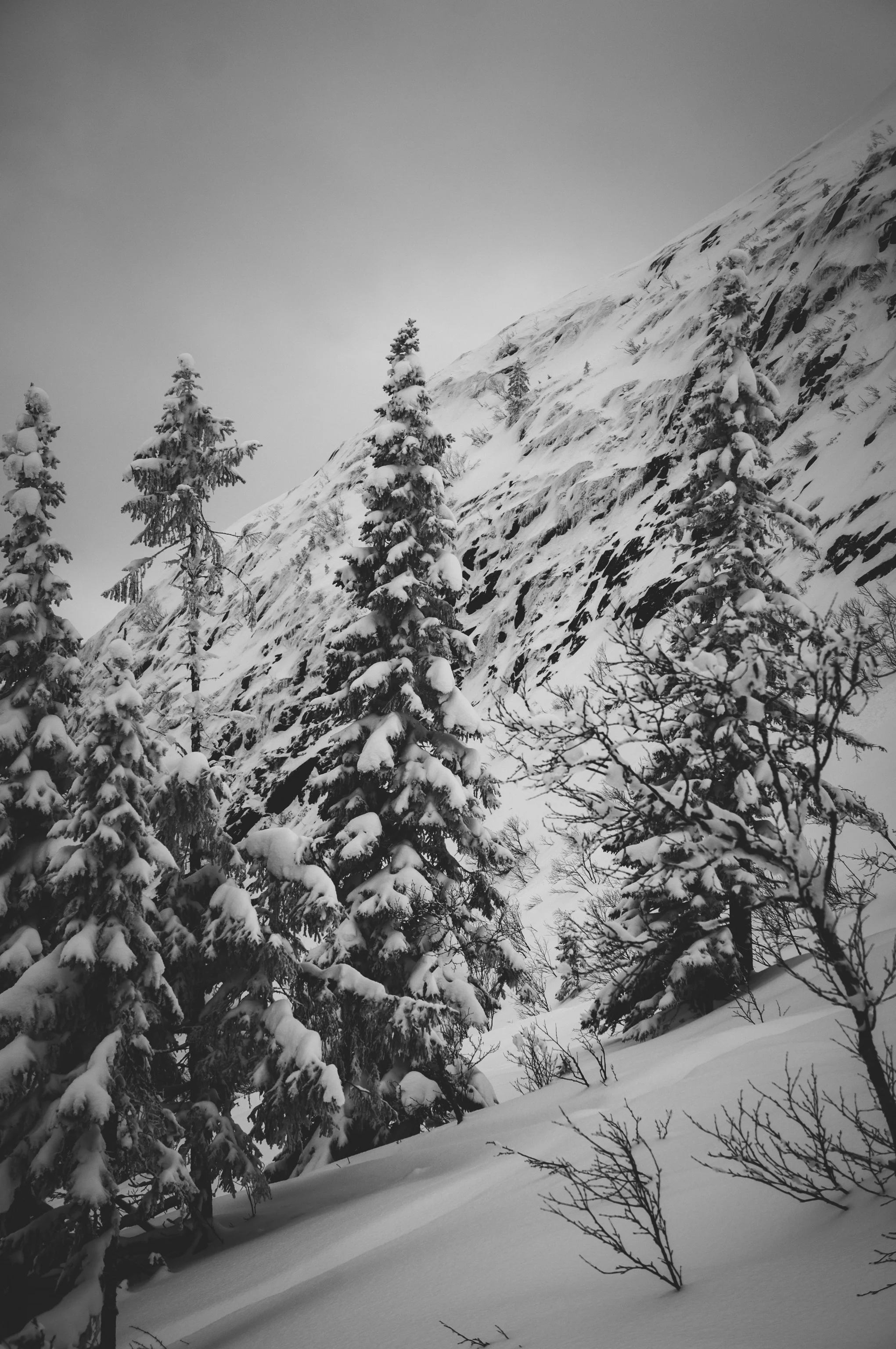 _DSC8905.jpg