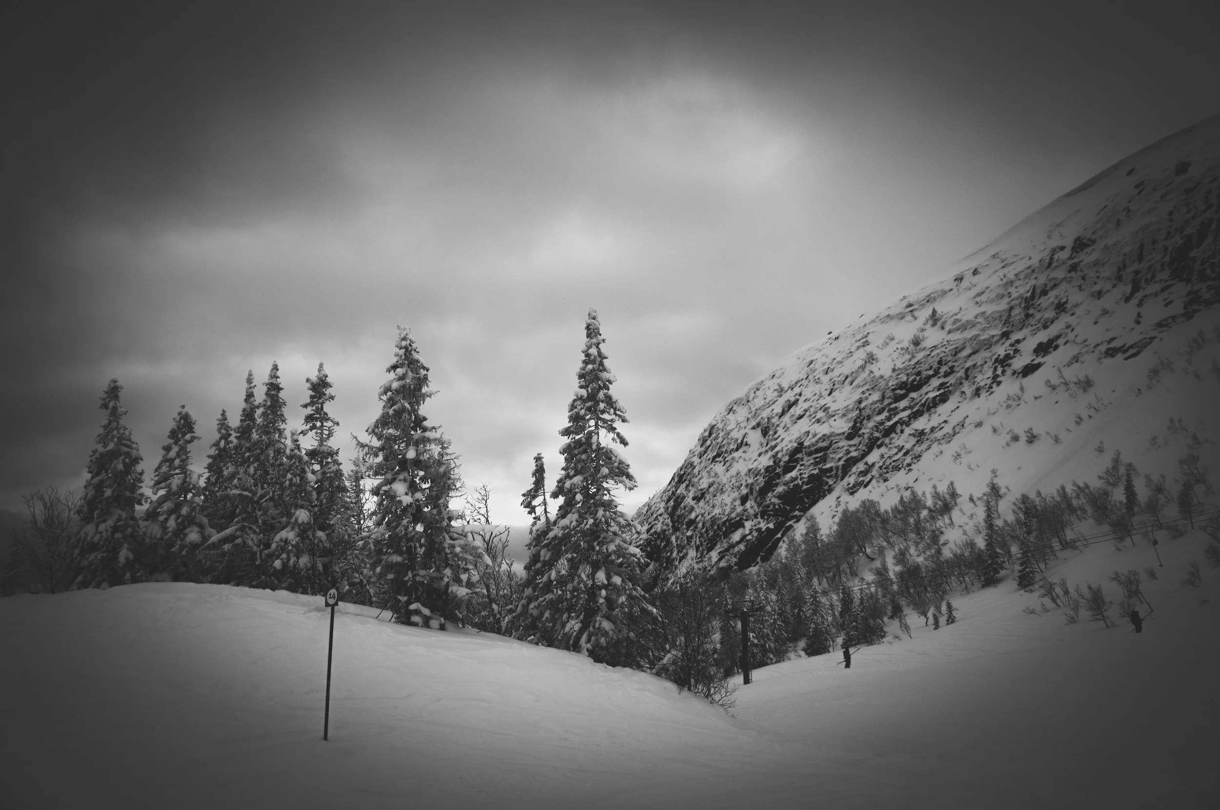_DSC8908.jpg
