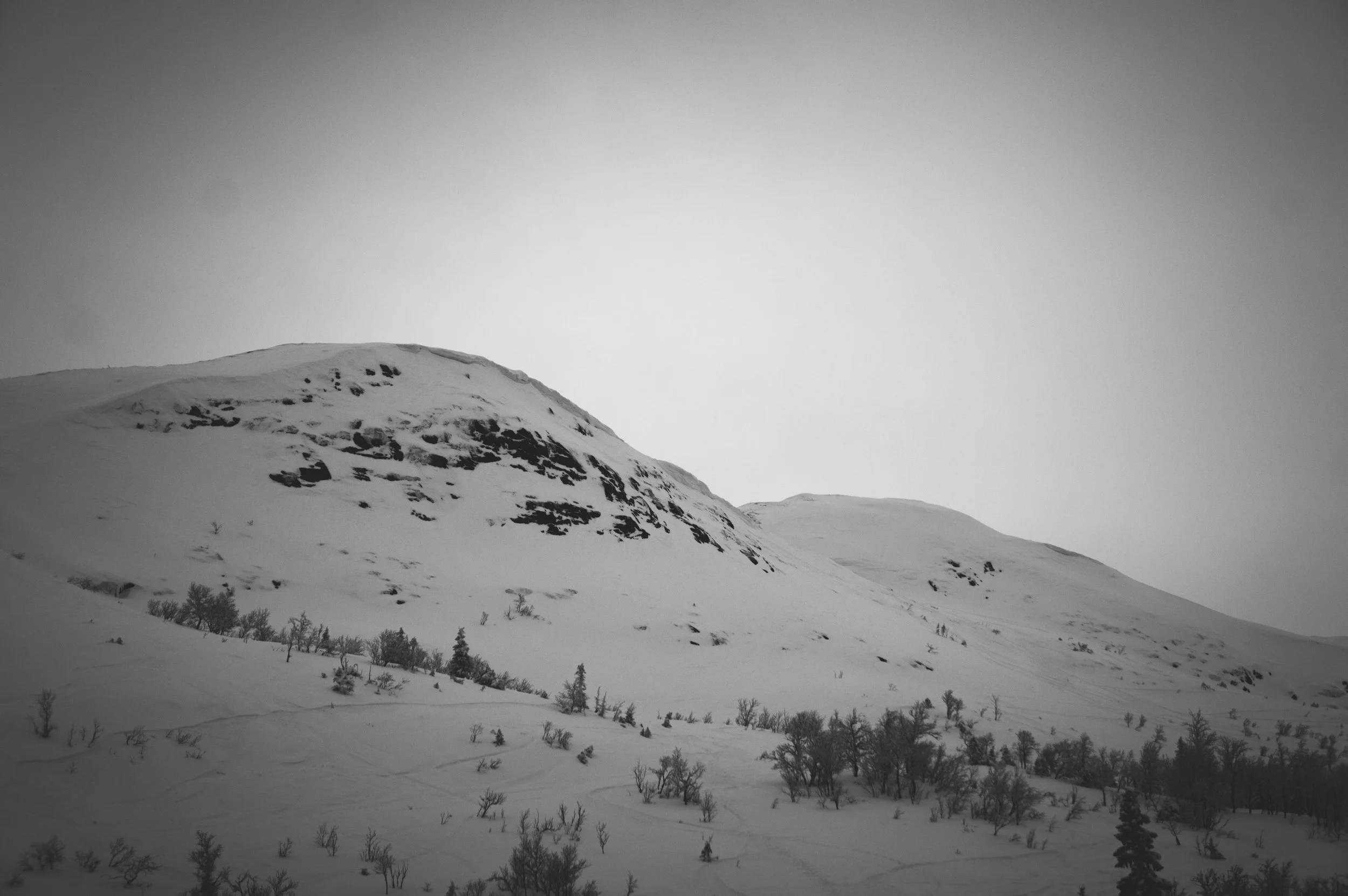 _DSC8912.jpg
