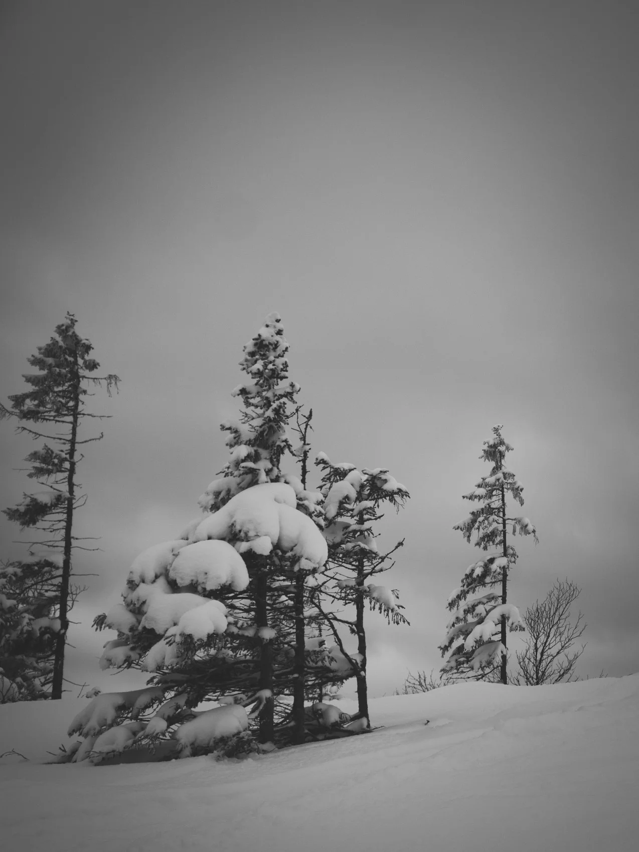 _DSC8927.jpg
