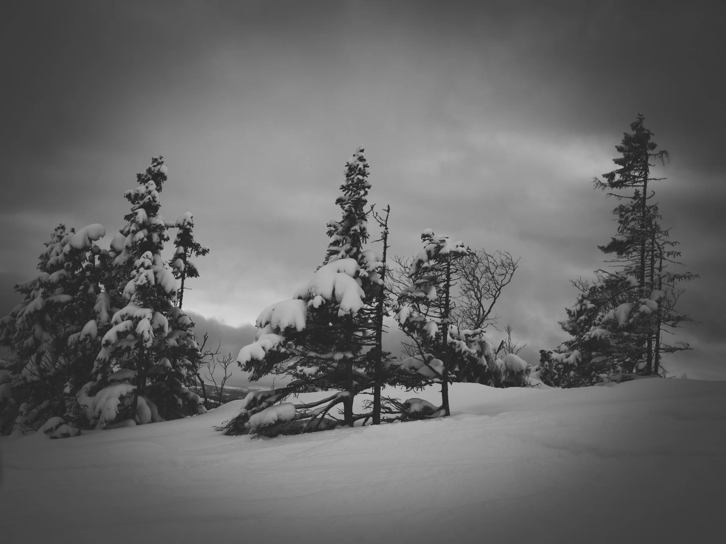 _DSC8928.jpg