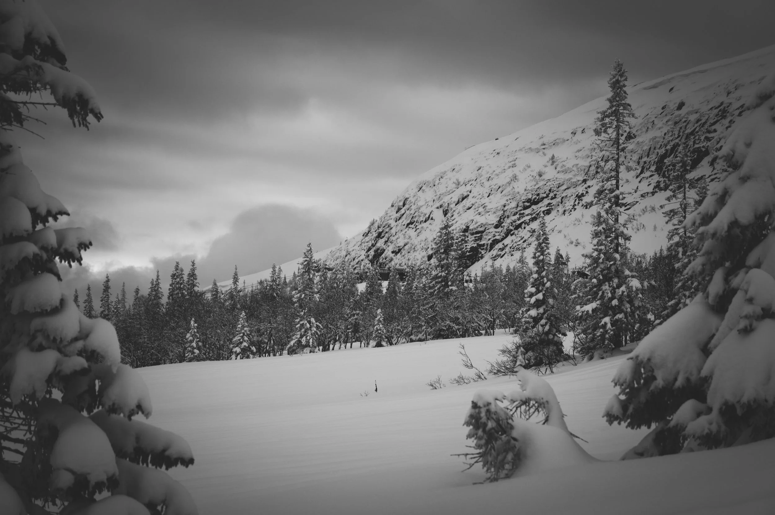 _DSC8937.jpg