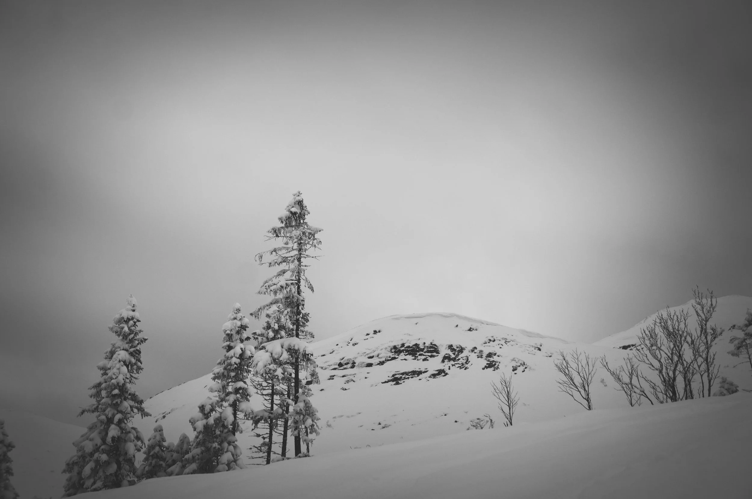 _DSC8944.jpg