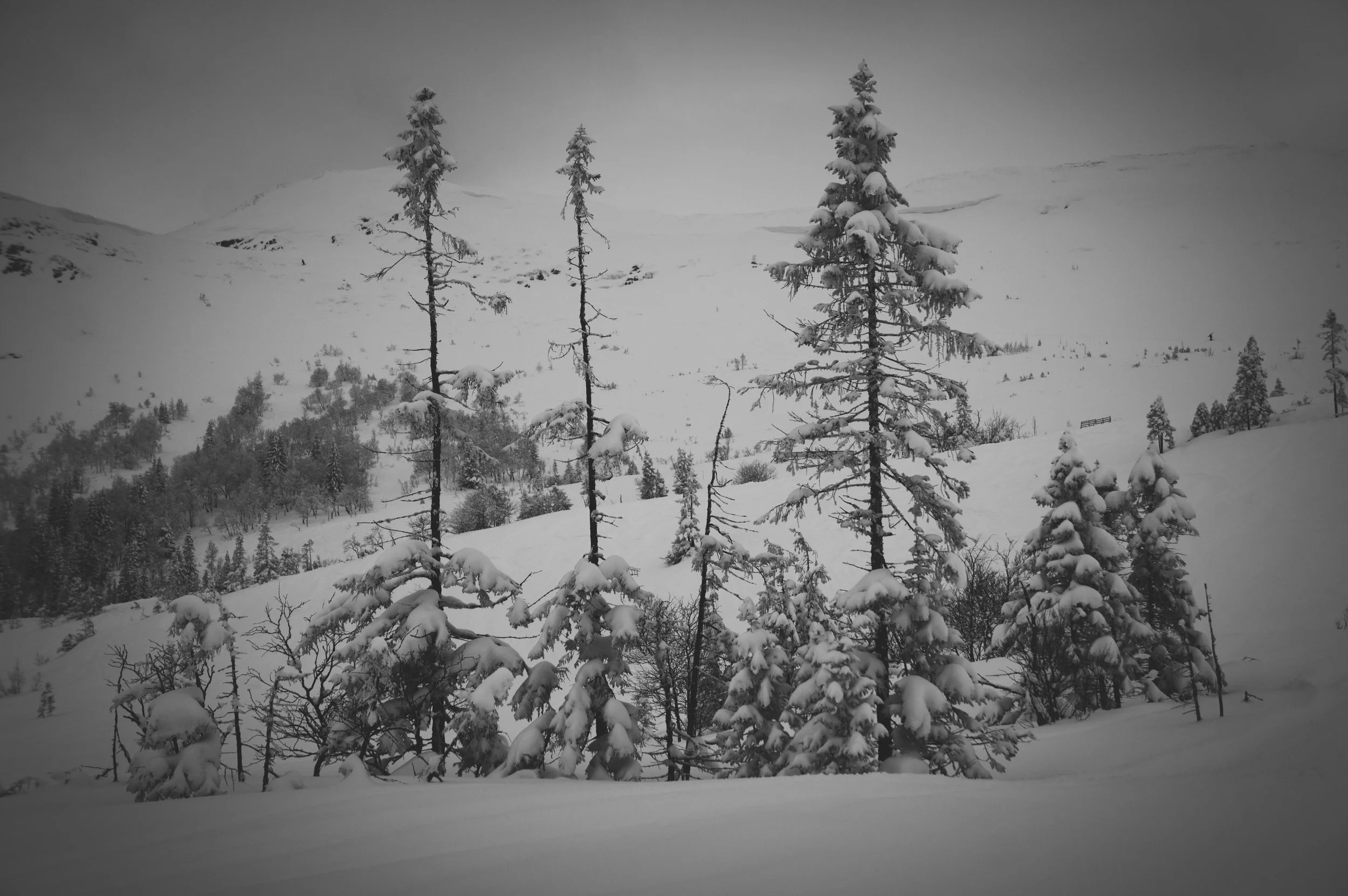 _DSC8934.jpg