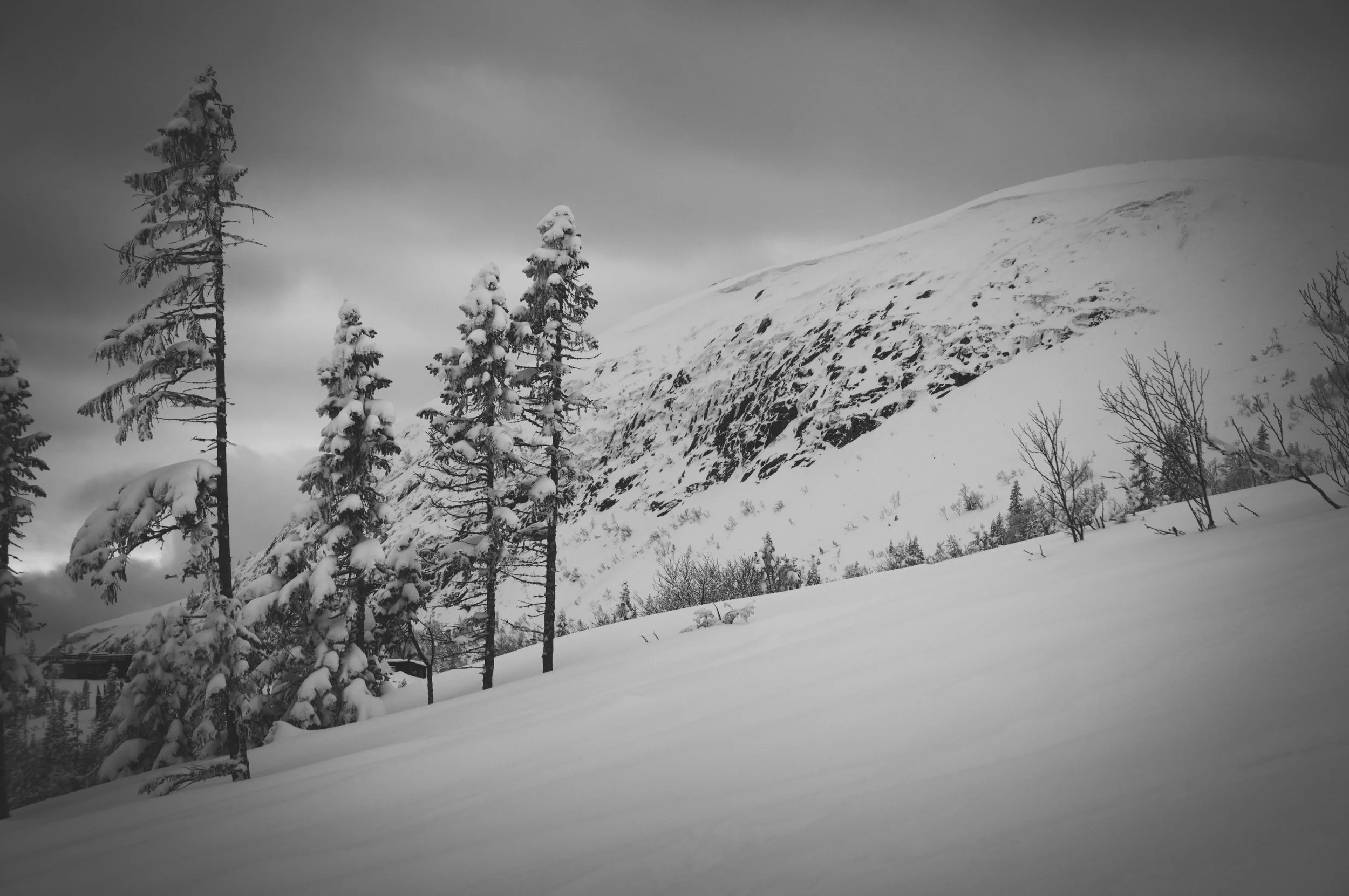 _DSC8946.jpg