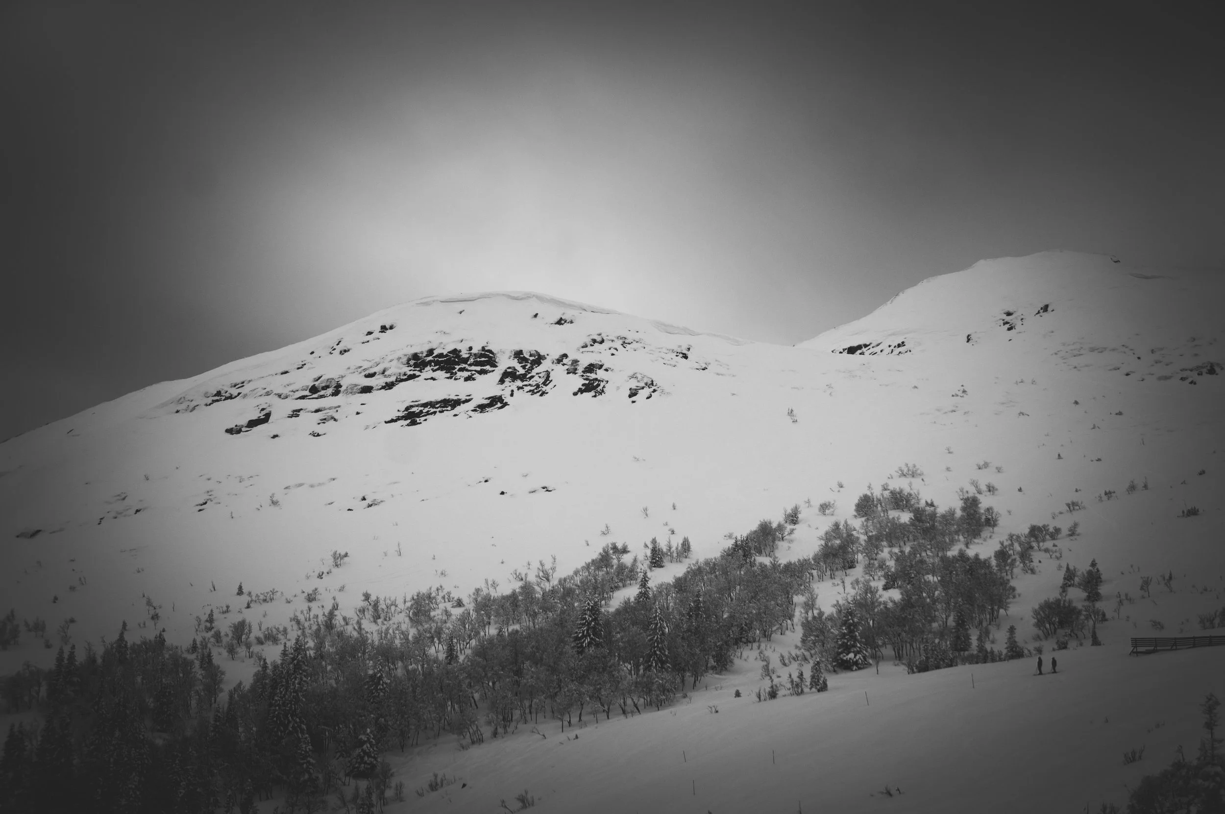 _DSC8951.jpg