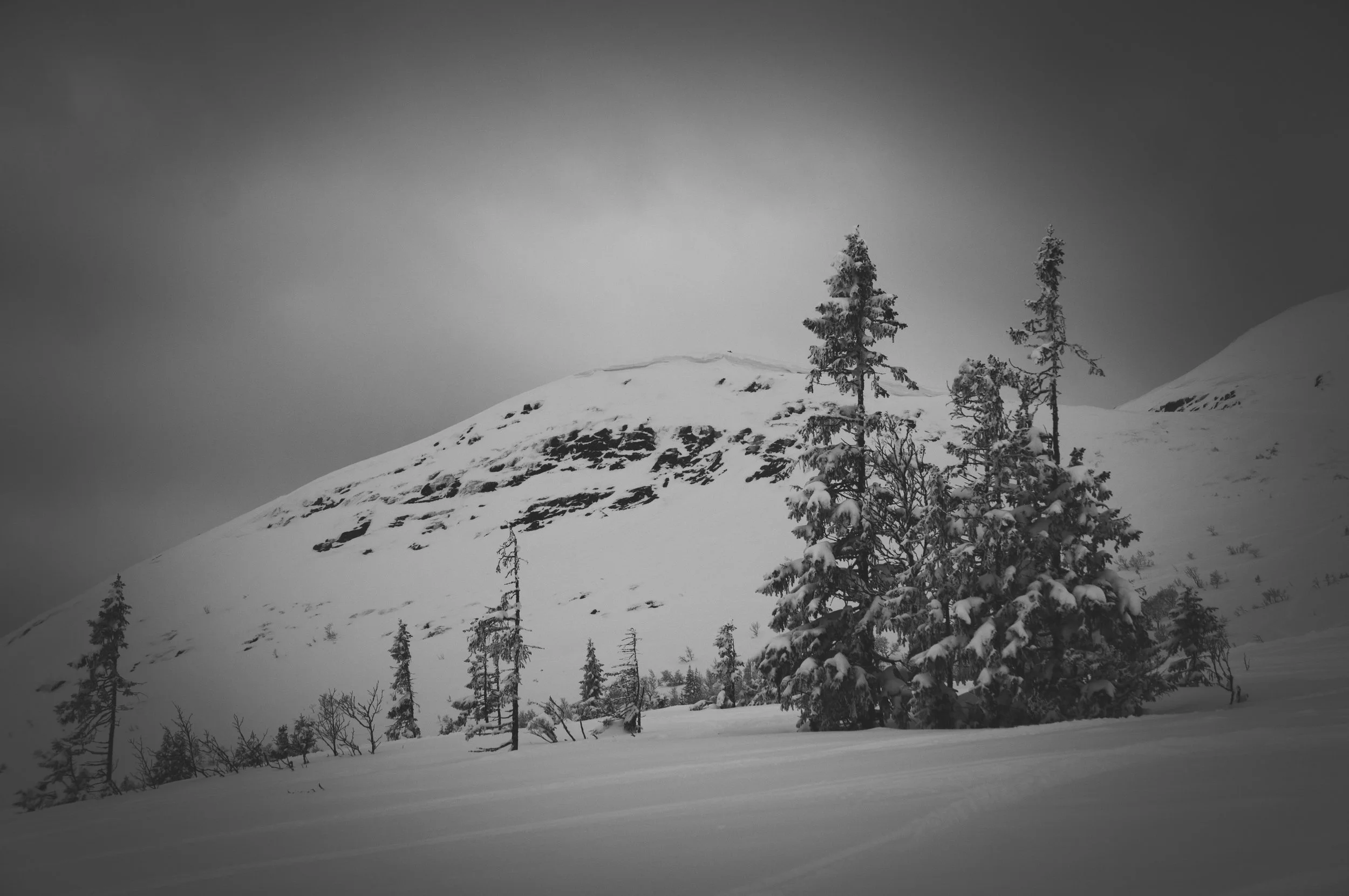 _DSC8971.jpg