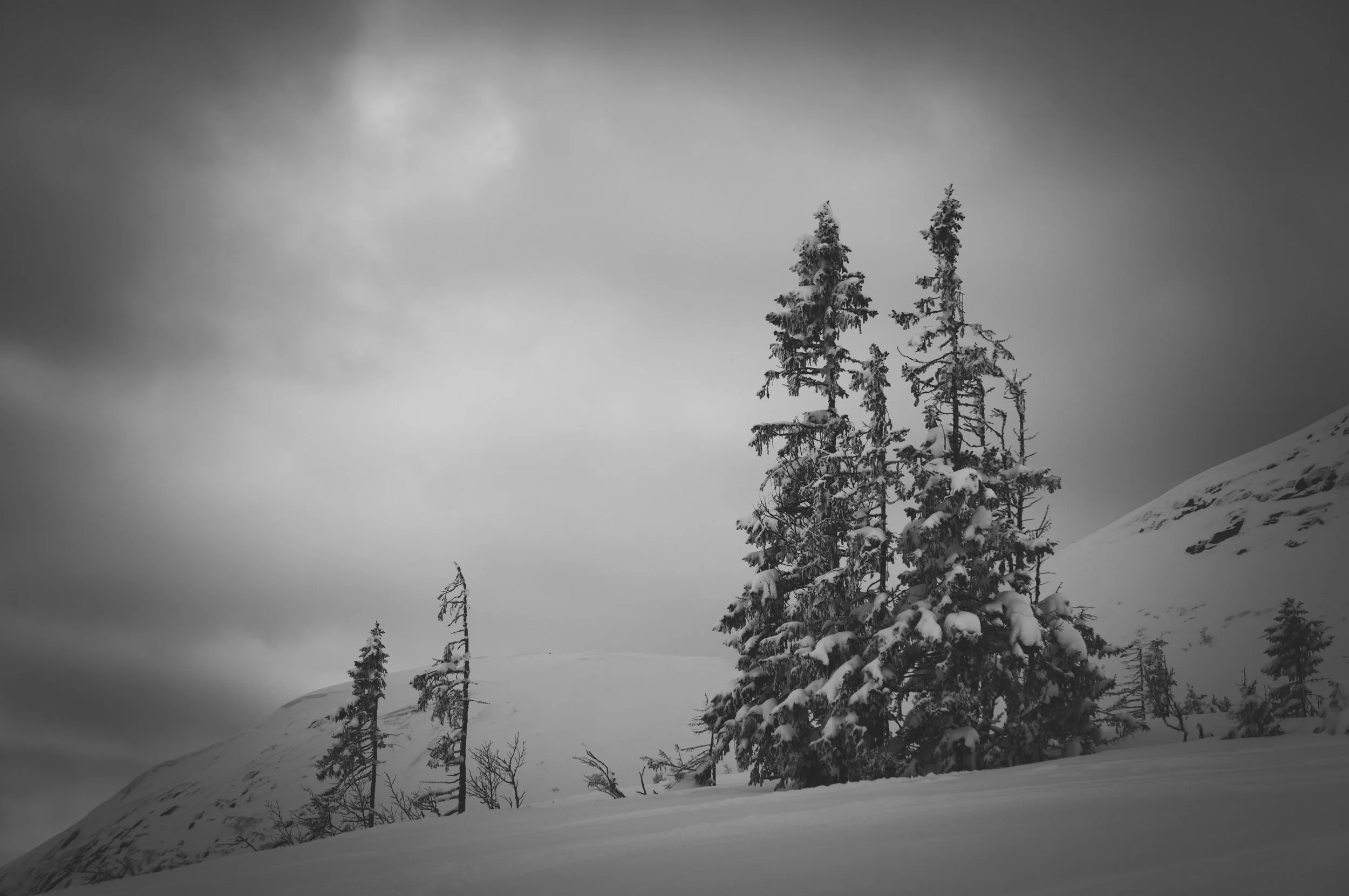 _DSC8972.jpg