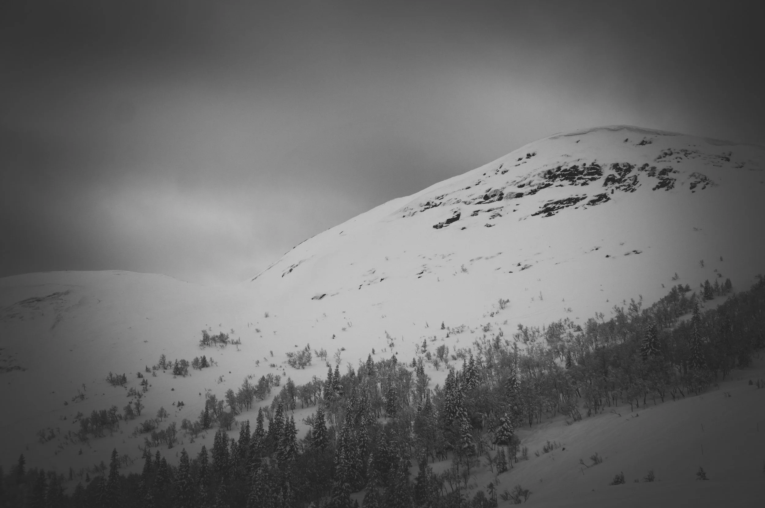 _DSC8954.jpg