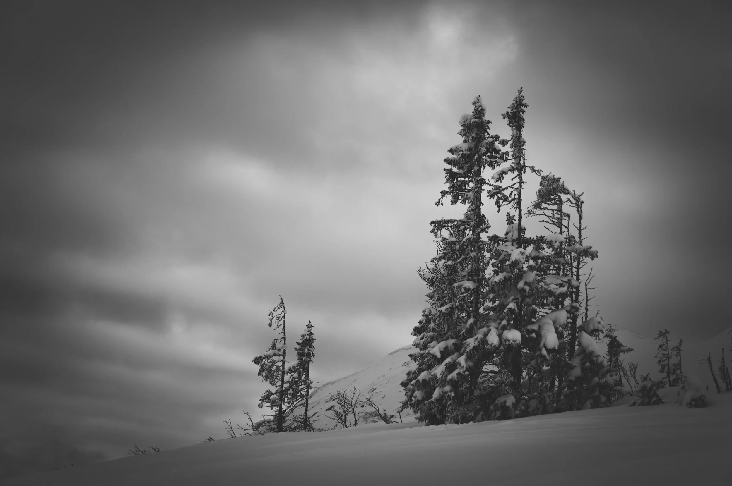 _DSC8973.jpg
