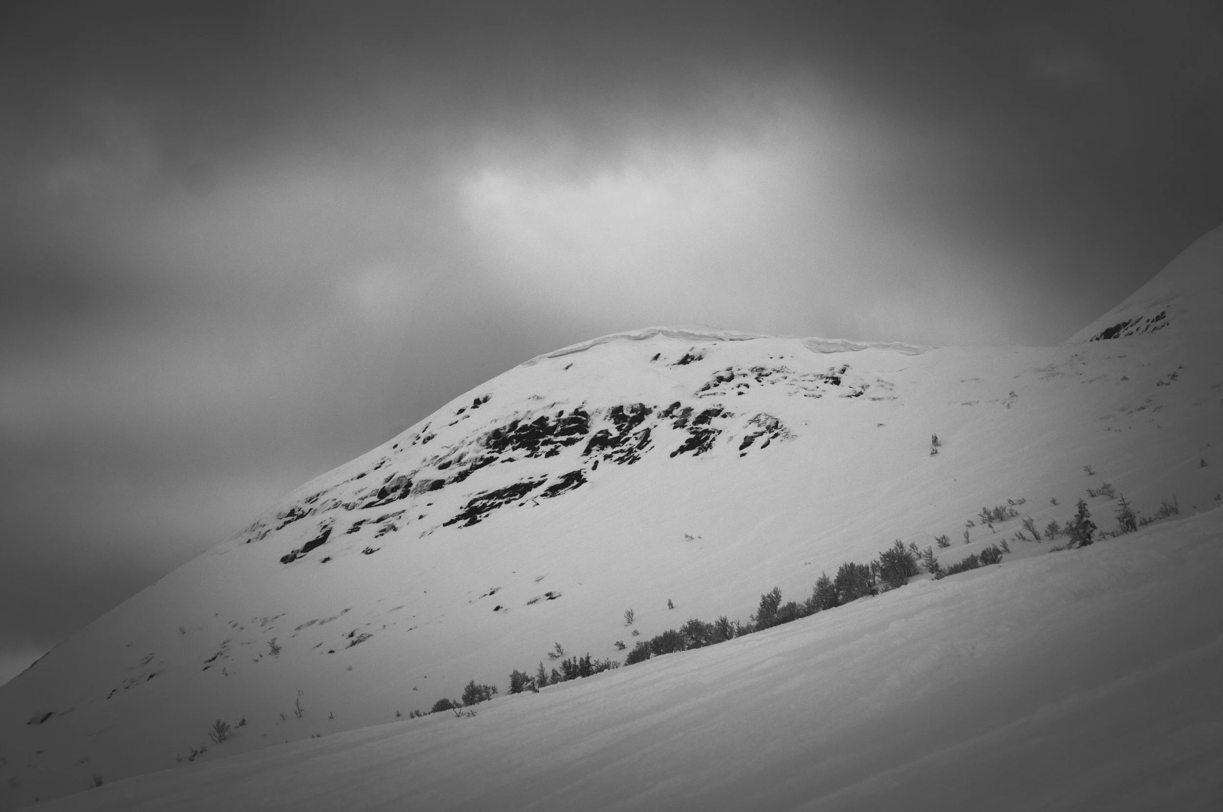 _DSC8983.jpg