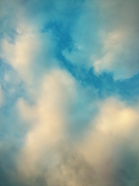 Transient