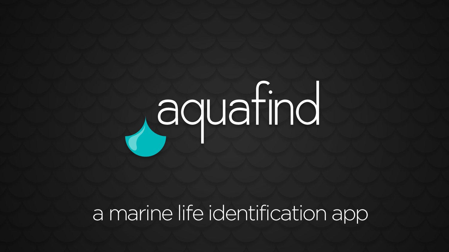 Aquafind