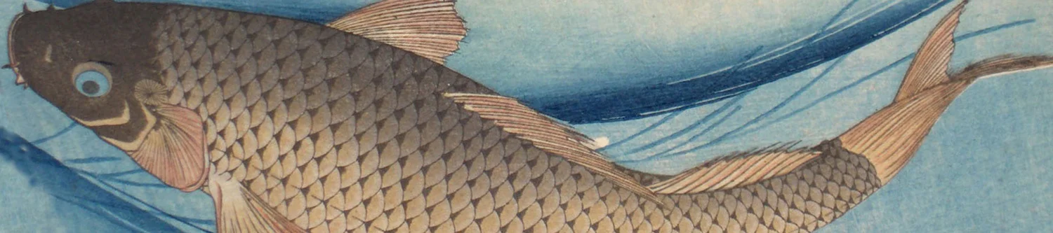 koicarp copy1.jpg