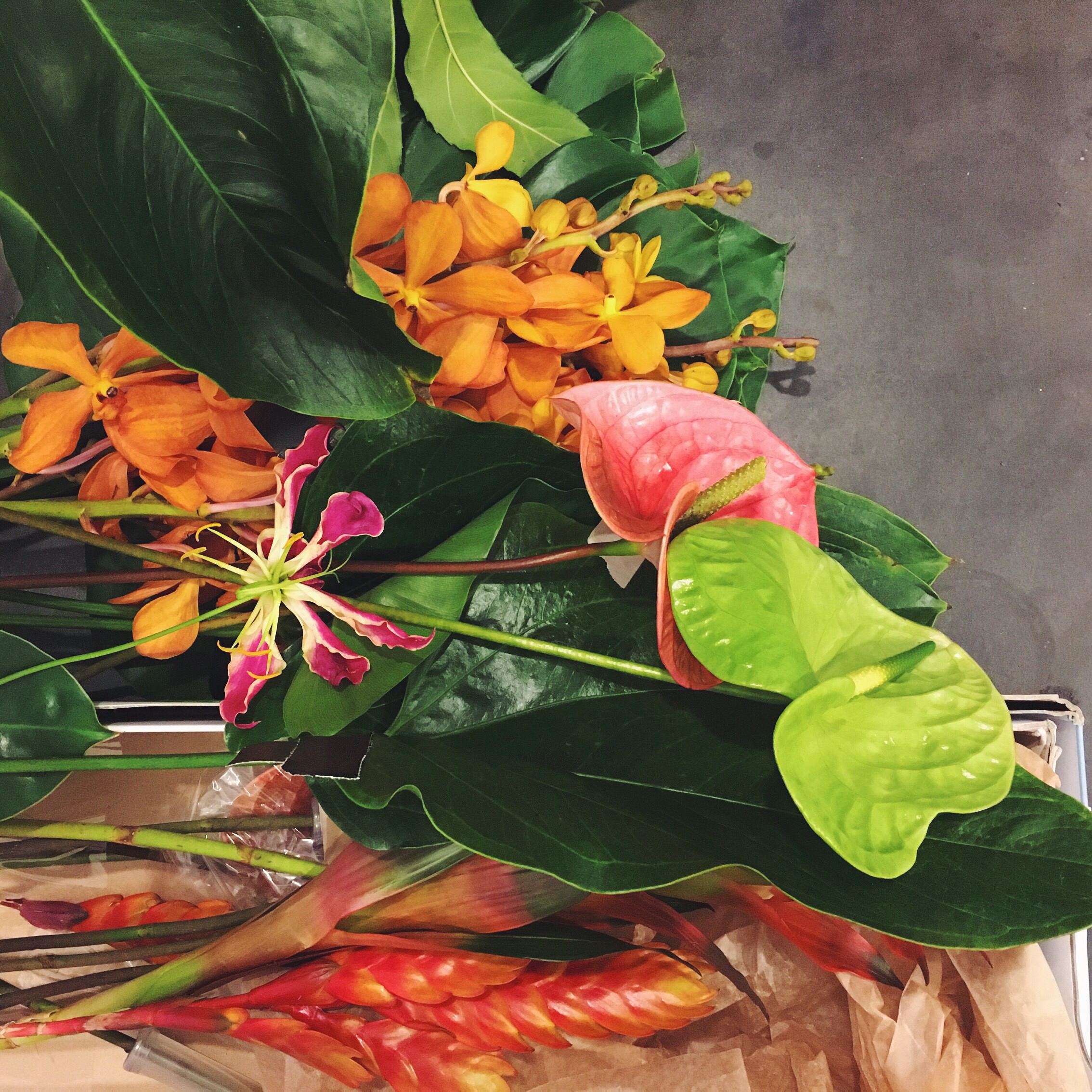Some flowers from my Desk Jungle