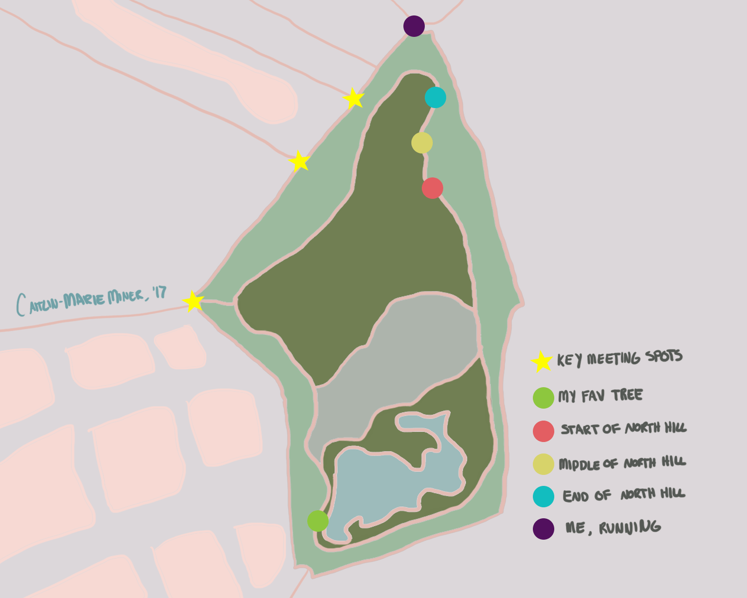 Buzzing around my park
