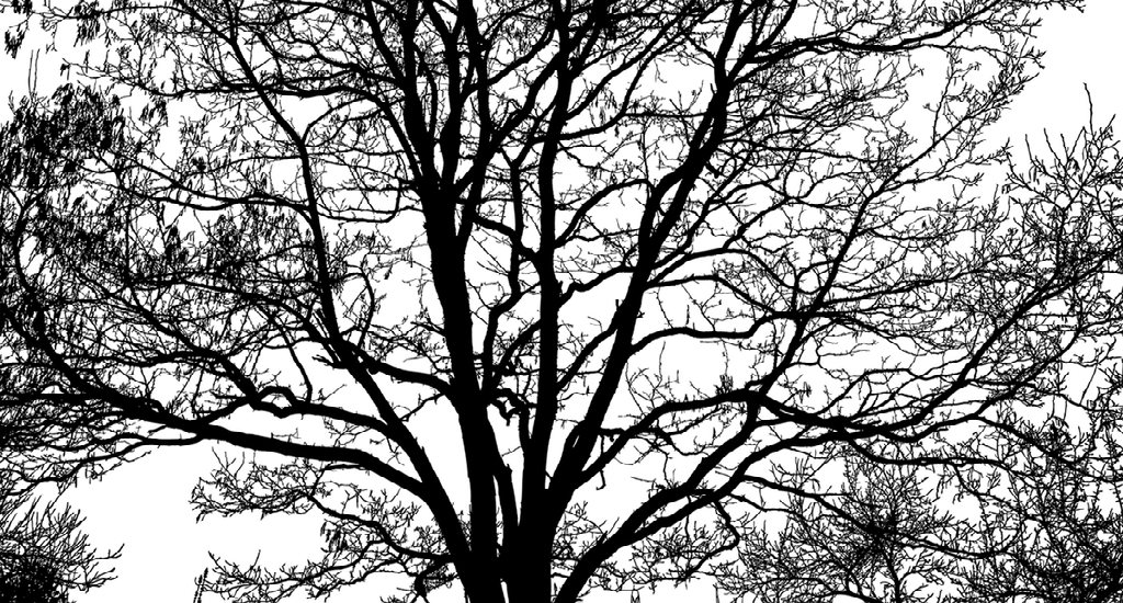 tree.png