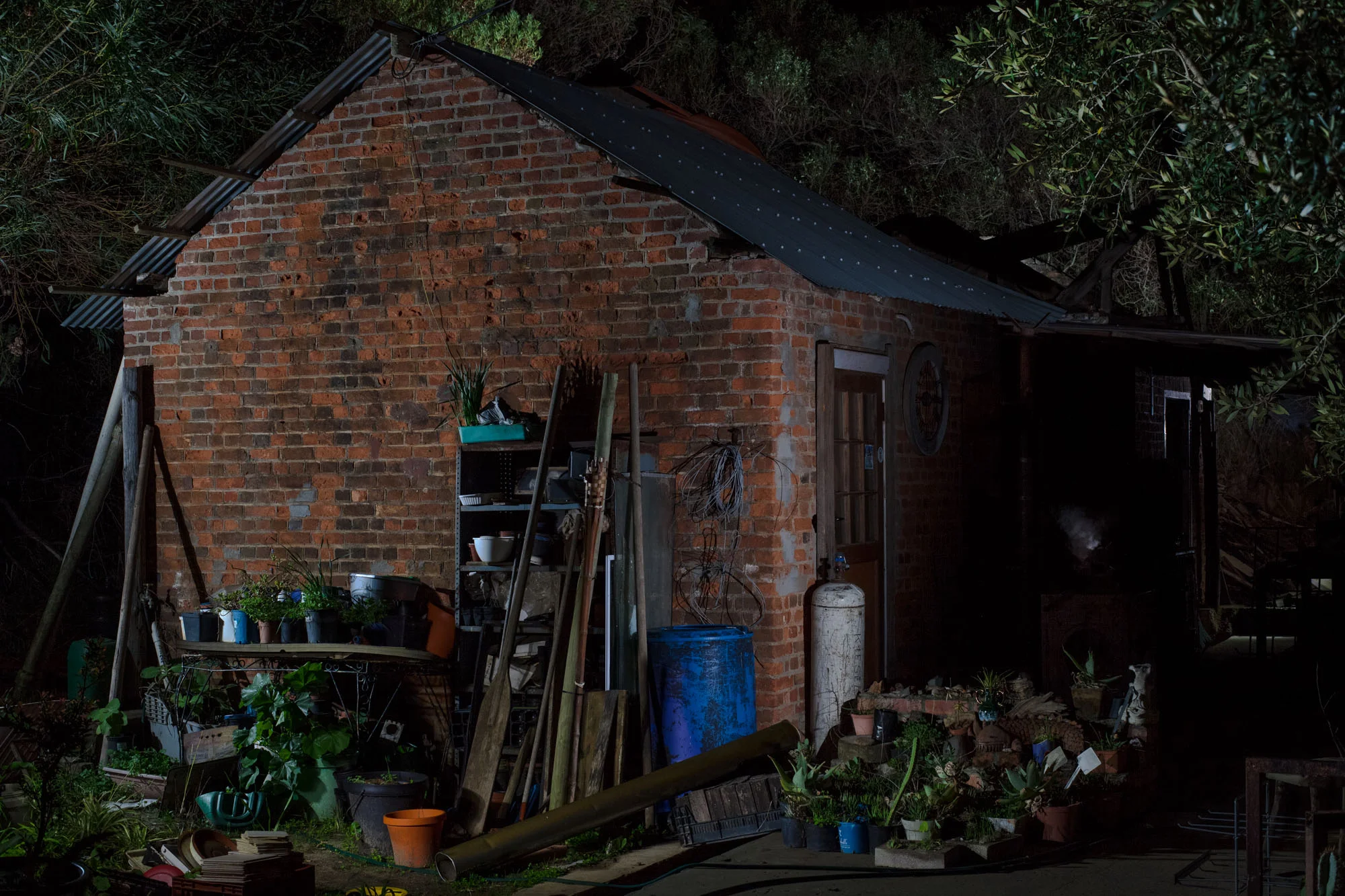 Frog Nursery & Workshop, 2016