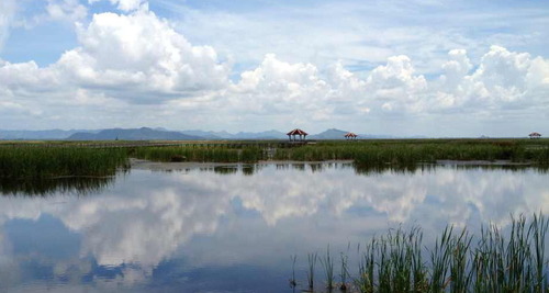 Sam Roi Yot Wetlands, by Amy