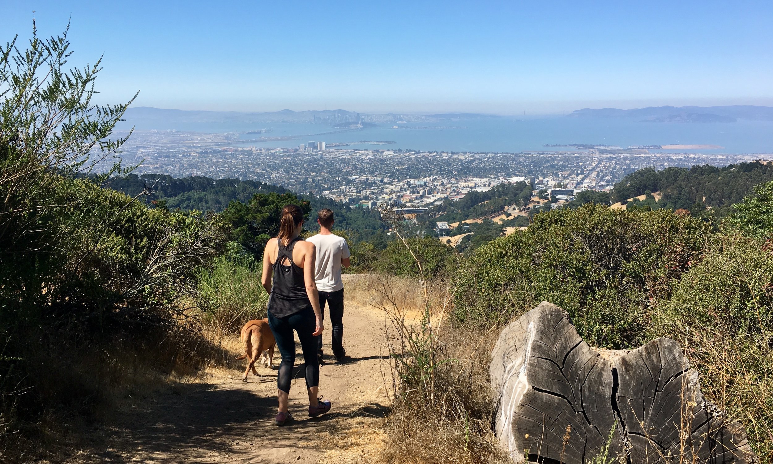 Hiking Grizzly Peak in the SF Bay Area