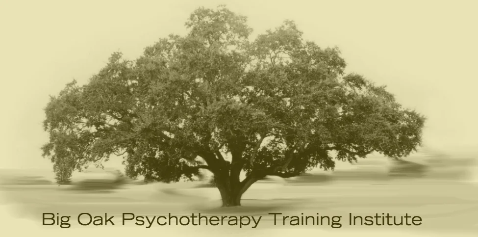 Big Oak institute was developed by Dr. Karen Alter-Reid to bring EMDRIA-approved and general trauma training to clinicians in the Northeast and the Tri-State area. As well, Big Oak presents to local first responders and community mental health organizations.