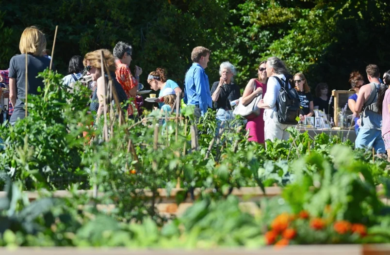 new-west-city-hall-community-garden-a-bit-hit-0.jpg