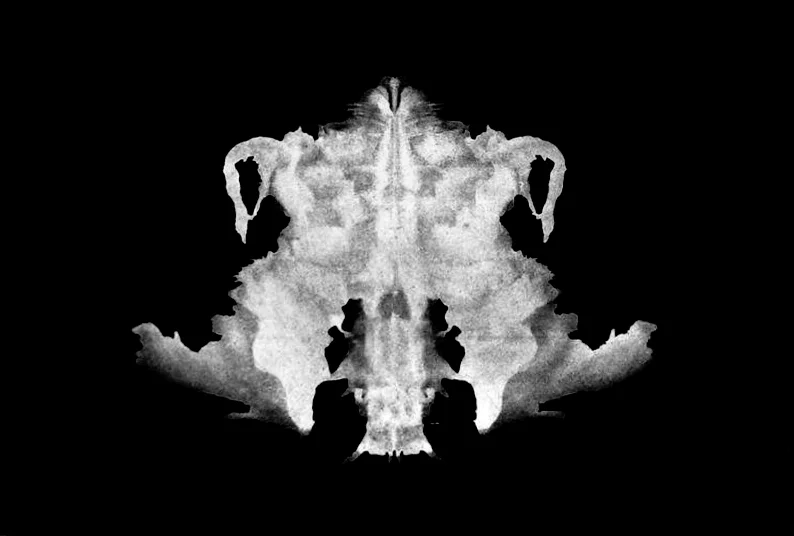Rorschach symmetry