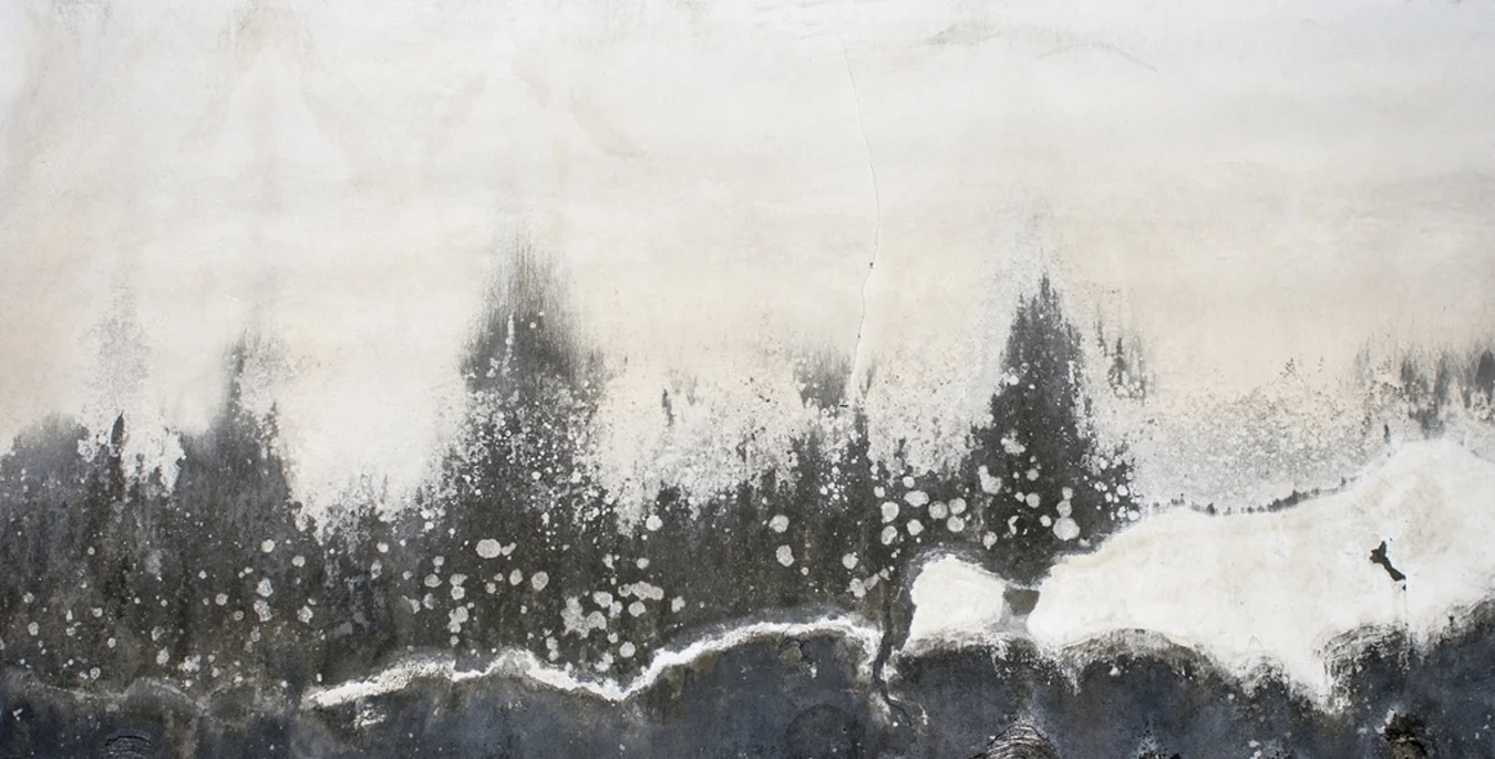 Wabi Sabi