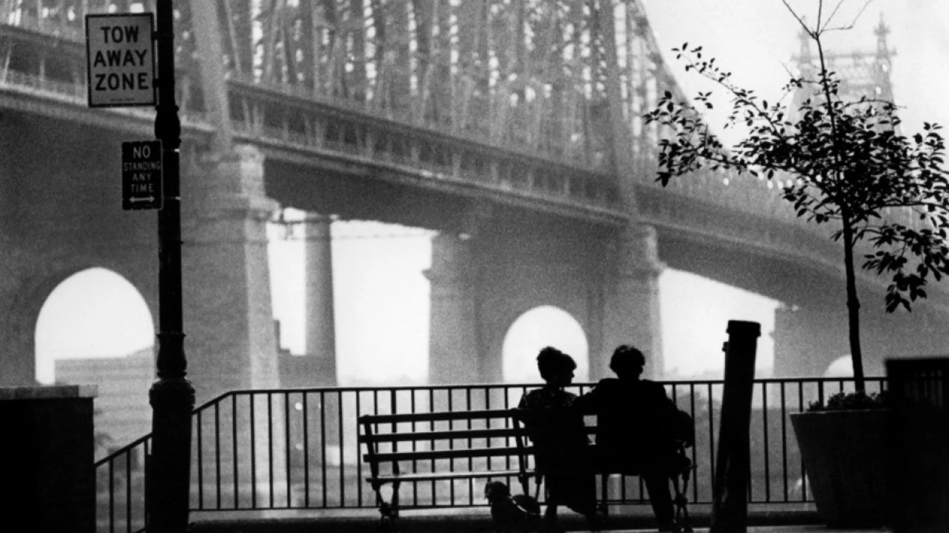 Woody Allen's 'Manhattan'