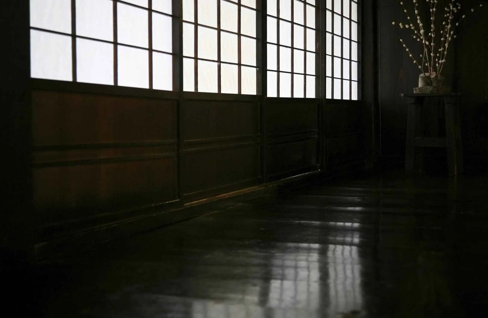 In praise of shadows