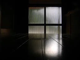 In praise of shadows