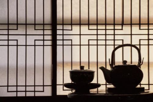 In praise of shadows