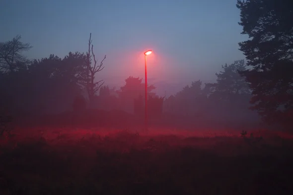 Red lights