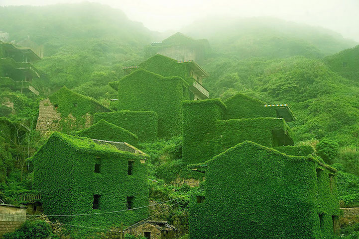 Nature