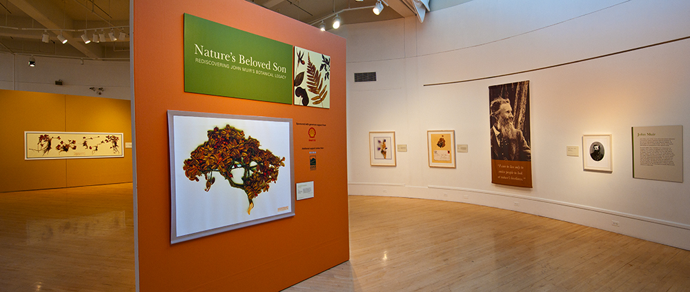  Exhibition at the Bedford Gallery in Walnut Creek, m arvelous panoramas courtesy of   Steven Joseph Photography  