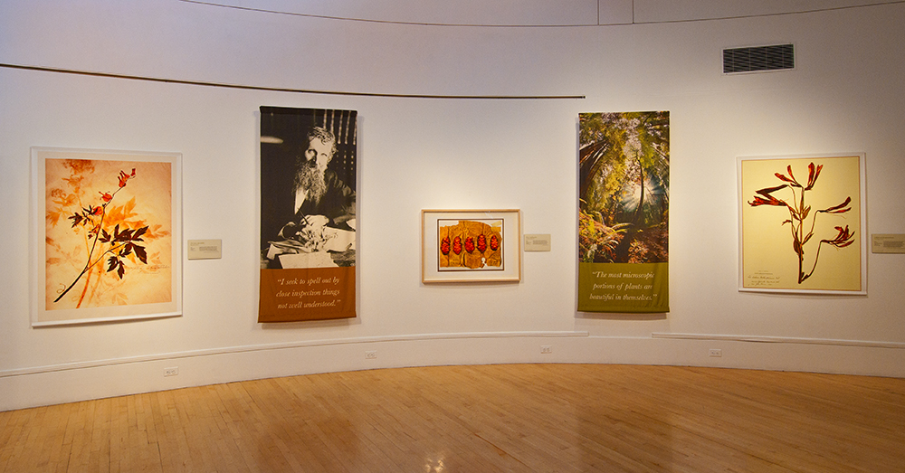  The exhibition narrative guides the viewer through John Muir's evolving relationship with the natural world in the context of his plant specimens and artifacts. 