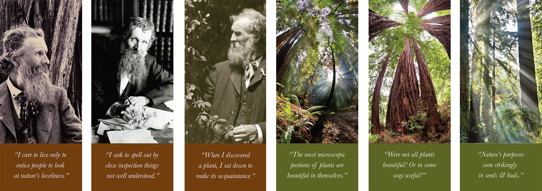   High-resolution banners feature famous Muir quotes, emphasizing his sincere love of nature.  