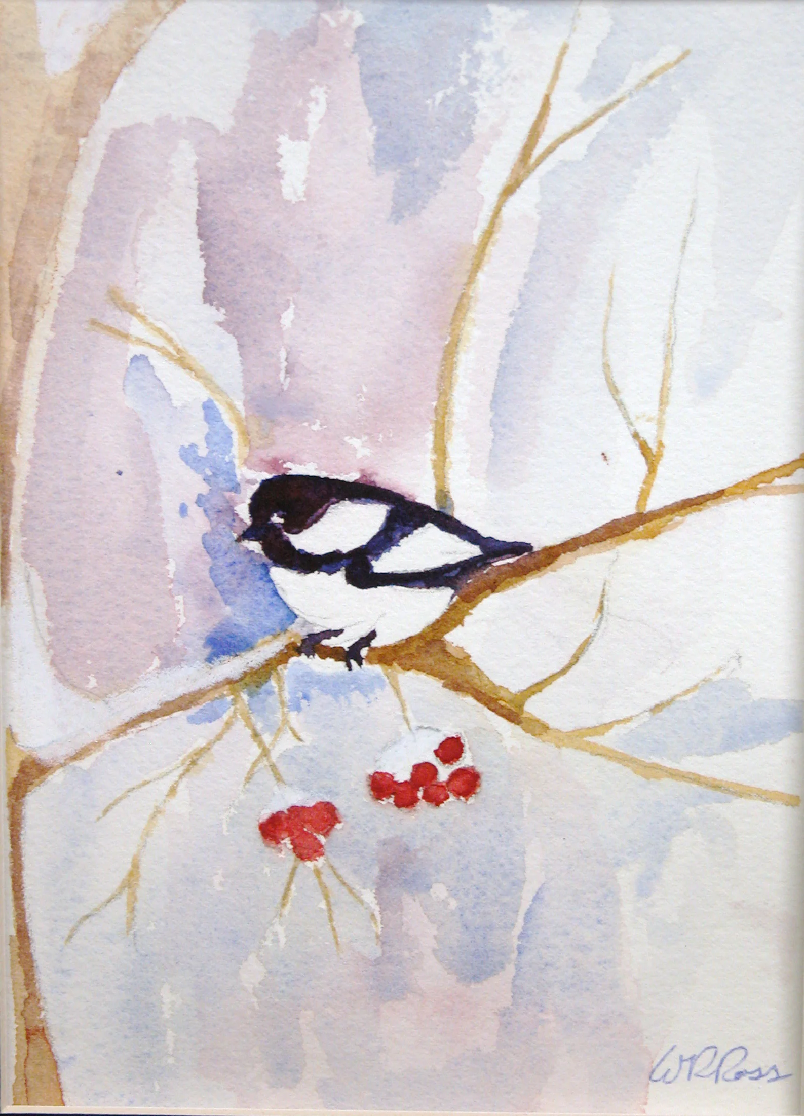 snowbird rross.jpg