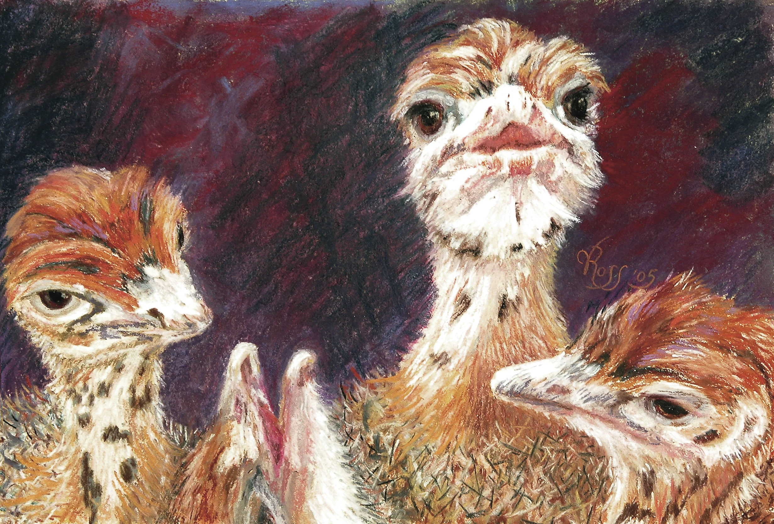 Buy prints and greeting cards HERE!"Outsdoorn Babes"12" x 16" pastel© V.N.Ross