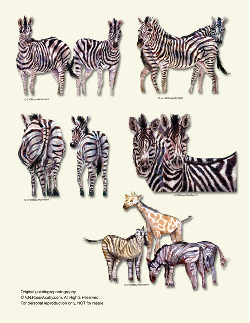 safari.jpg