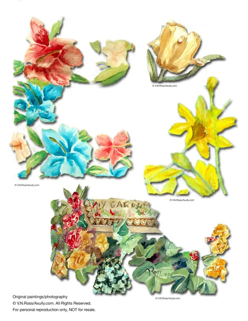 my-garden.jpg