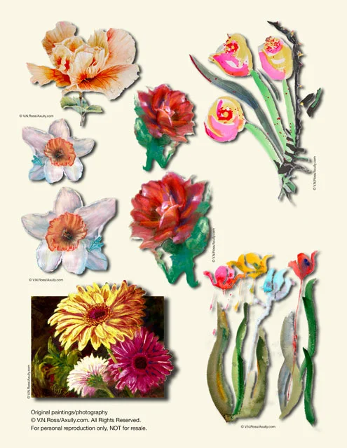 rebas-rose.jpg