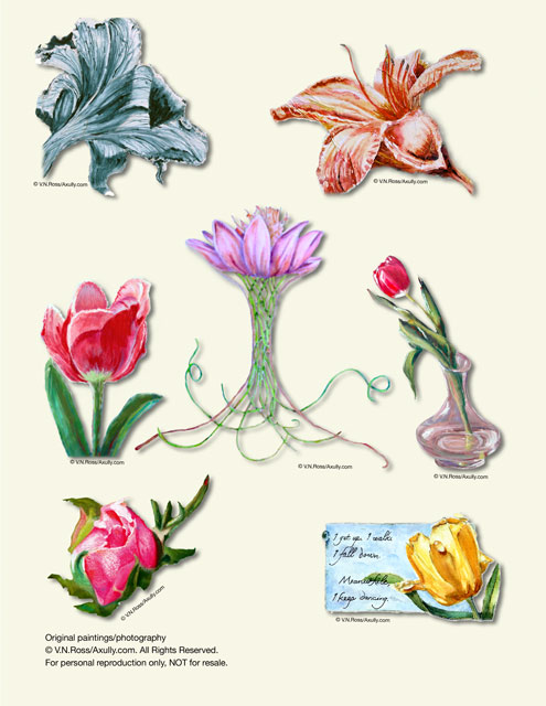Teiko's-Rose.jpg