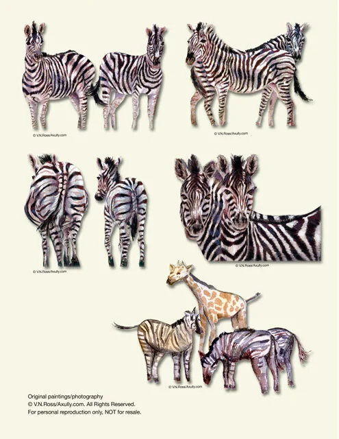 Animals & Pets