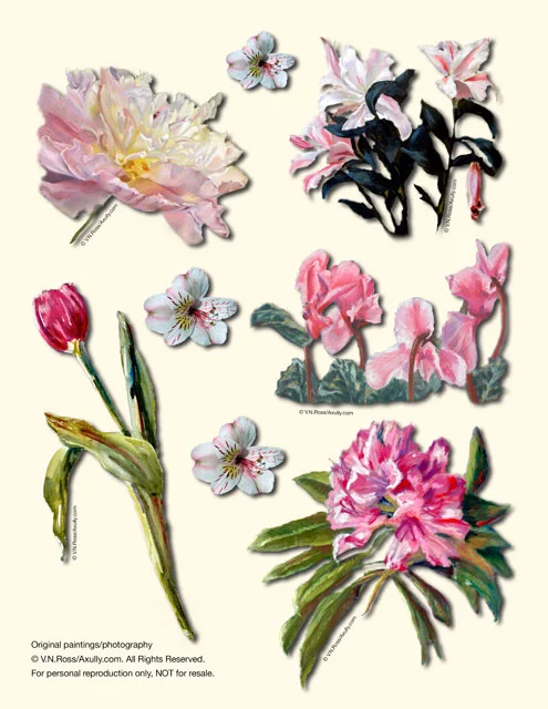 Floral