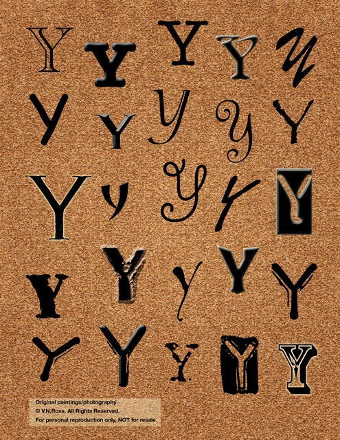 Y-on-cork.jpg