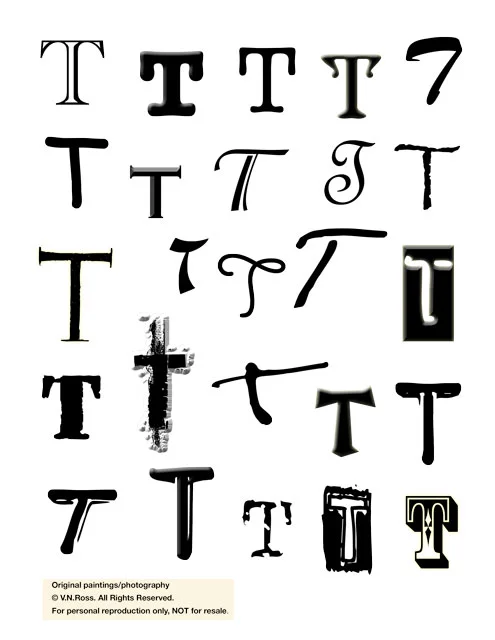 T.jpg