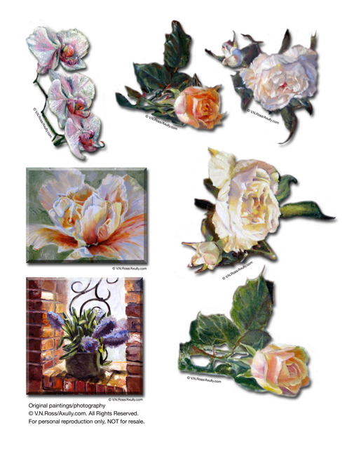 orchids.jpg