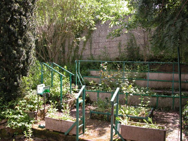 CK garden.jpg