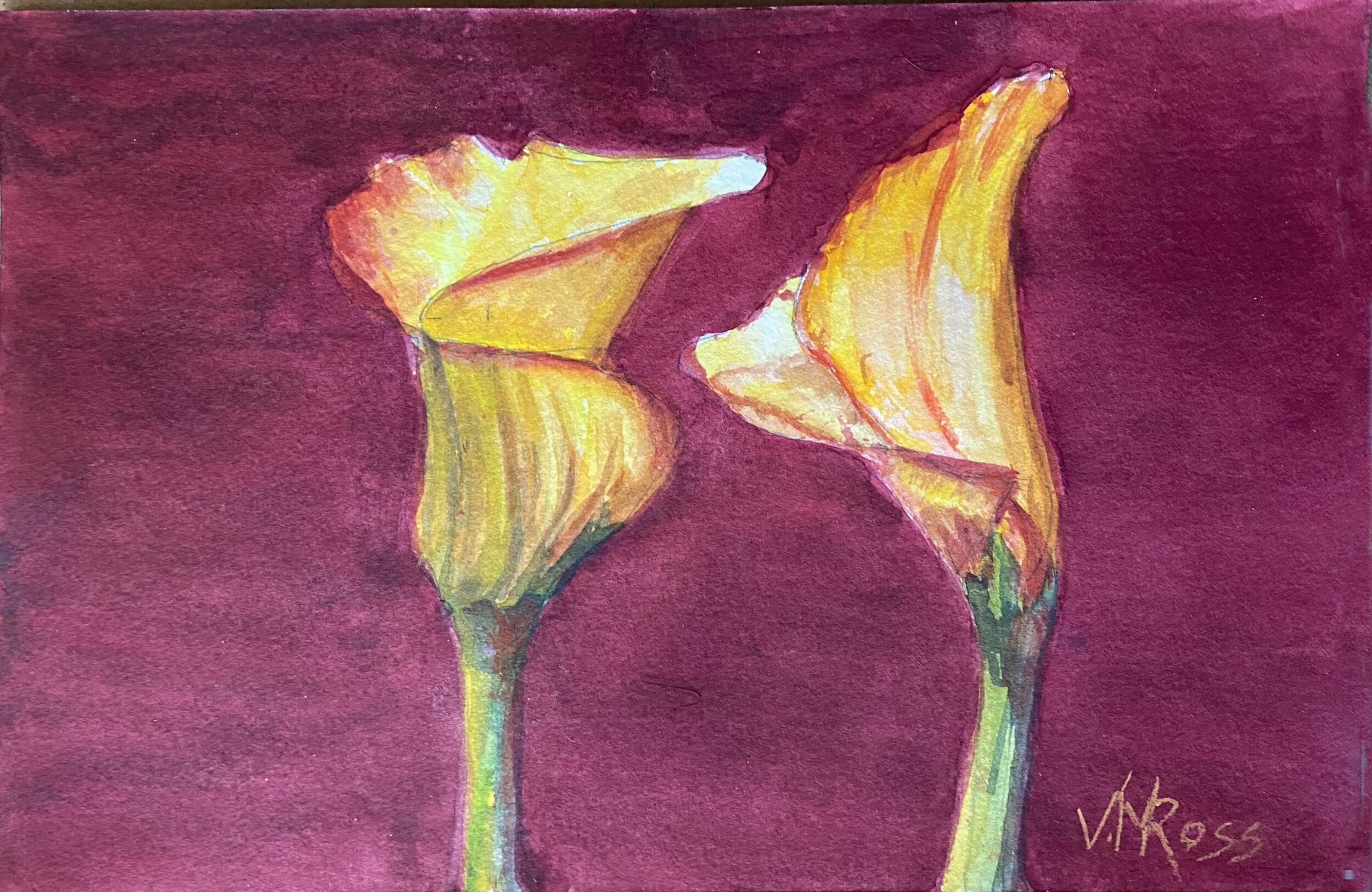 Watercolor Lilies, Episode 4
